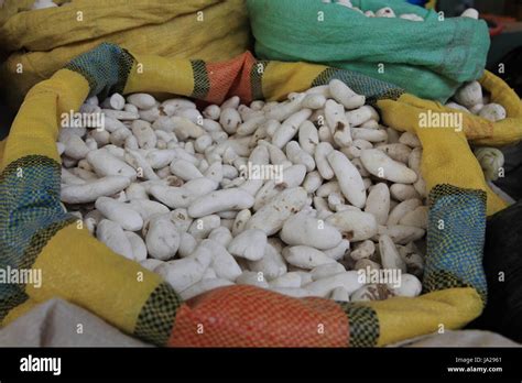 Potato Varieties Peru Hi Res Stock Photography And Images Alamy