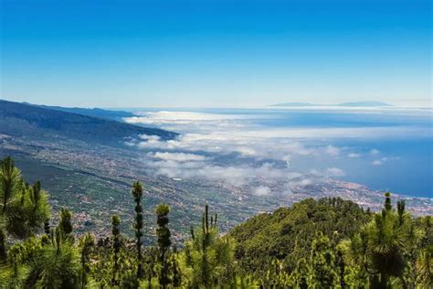 Quelle langue est parlée aux Canaries Cariboo