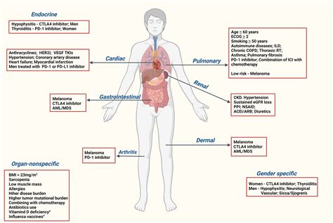 Frontiers Risk Factors And Biomarkers For Immune Related Adverse