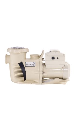 Pentair 022056 Intellifloxf Vsf Variable Speed Pump Toronto Pool Supplies