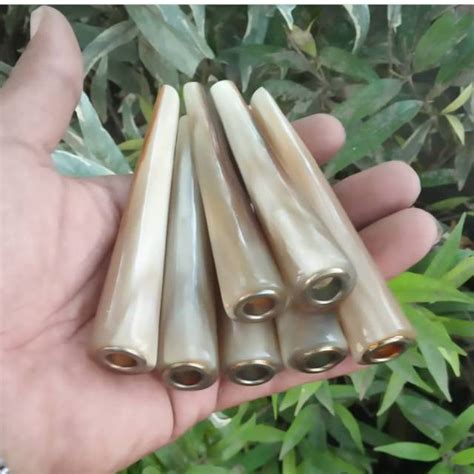 Jual Pipa Once Tanduk Kerbau Bule PS10 Shopee Indonesia