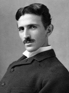 Nikola Tesla Pigeon - Lazer Horse