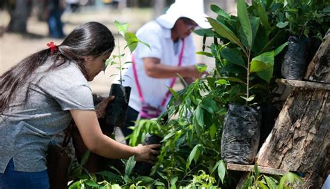 Programa Sembrando Vida generará 20 mil empleos en El Salvador