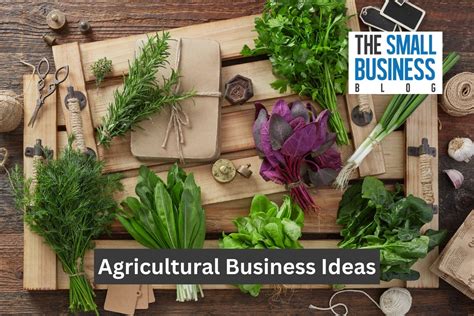 Highly Profitable Agricultural Business Ideas For Marketing Scoop