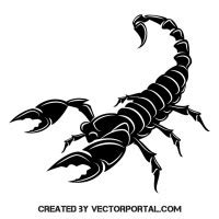 Black Scorpion Vector Illustration