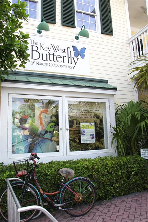 Key West Butterfly and Nature Conservatory | Suwannee Rose