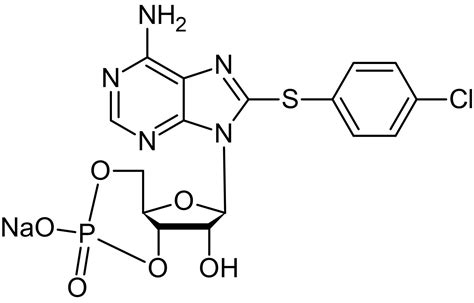 8 4 Chlorophenylthio Adenosine 3 5 Cyclic Monophosphate 8 CPT CAMP