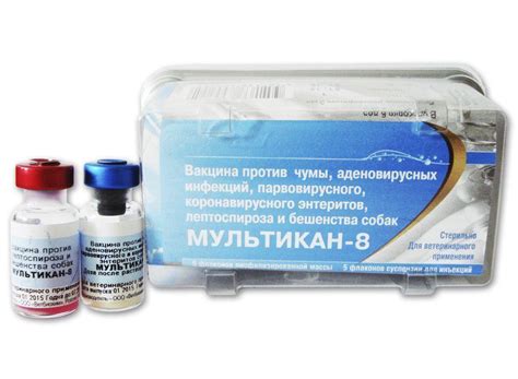 Прививка мультикан 8 от чего: 8 - инструкция по применению