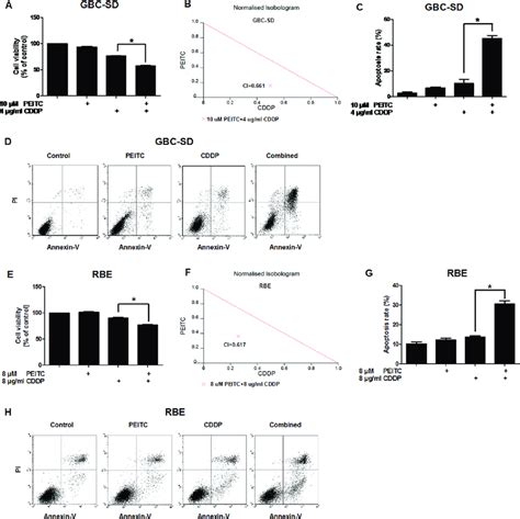 Peitc Enhances Cddp Induced Apoptosis In Gbc Sd And Rbe Cells A