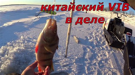 Окунь и щука на VIB. Рыбалка с дедом на Оби. - YouTube