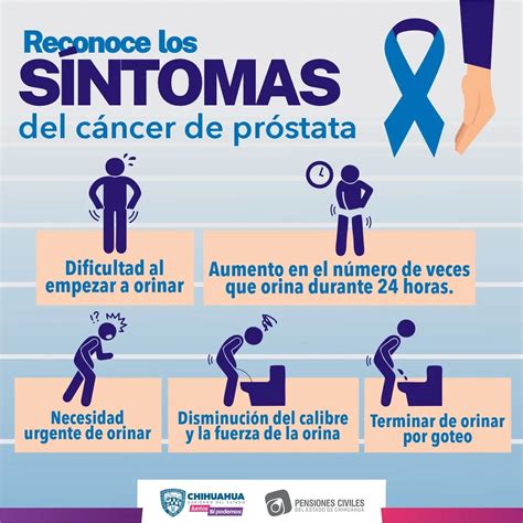 pruebas  examenes  el cancer de prostata qlzcb