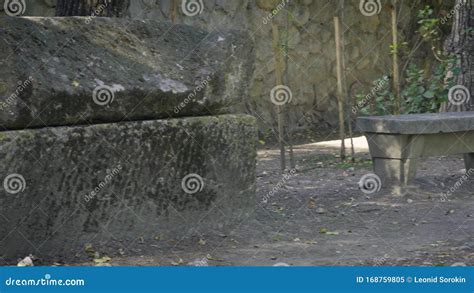 Ancient Roman Necropolis Les Alyscamps In Arles Provence Stock Video