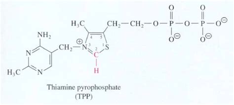 The Thiazolium Ring Of Tpp Contains The Reactive Centre Red Of