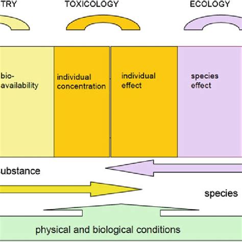 5 The Steps In Constructing A Qsar Model Download Scientific Diagram