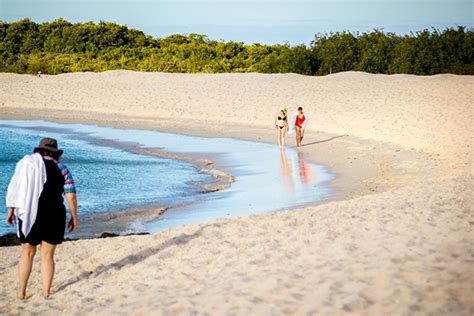 Galapagos Islands cruises from the USA - GalapagosInformation.com Blog