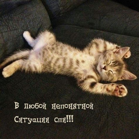 Картинки с надписями. В любой непонятной ситуации спи!.