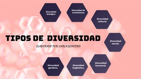 TIPOS DE DIVERSIDAD By Carla Quintero On Prezi Next