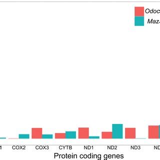 Selection Pressure Analysis In The Protein Coding Genes Of Mazama