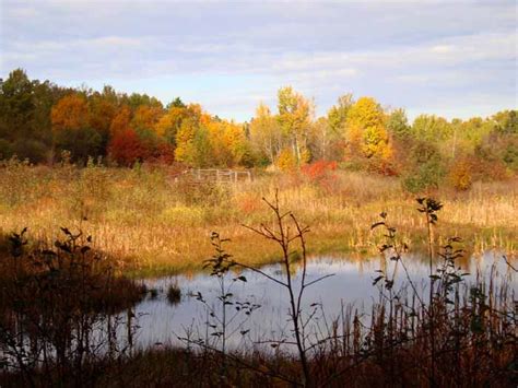 Fall colors hang on - Copper Harbor Copper Harbor