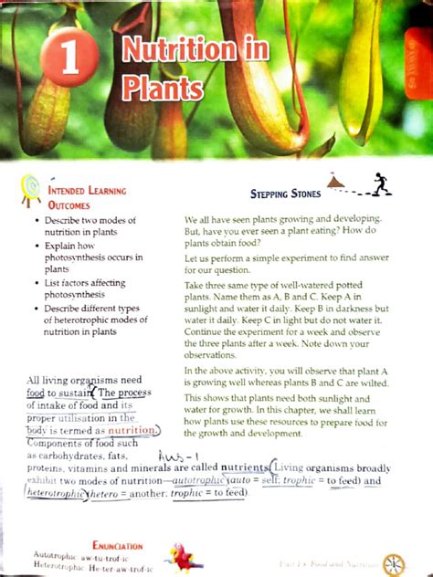 Chapter 1 Nutrition in Plants | PDF 