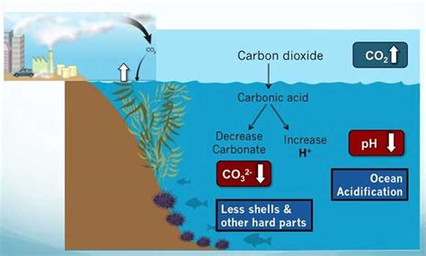 MBNMS Resource Issues Climate Change