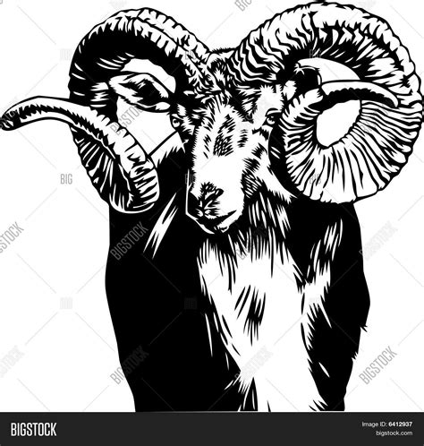 Bighorn Sheep Vector Photo Free Trial Bigstock