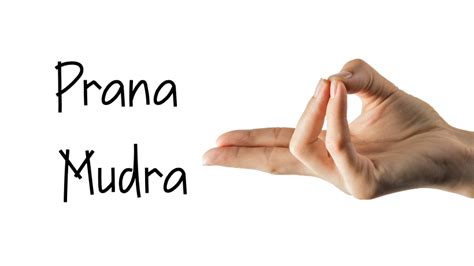 Prana Mudra: Benefits, Precautions, and How to Do It