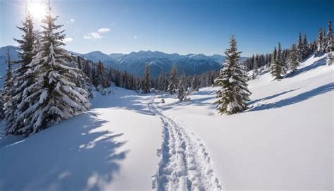 Premium Photo | Winter landscape snow covered forest