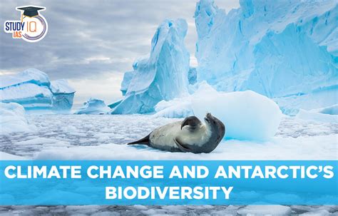 Climate Change and Antarctic's Biodiversity