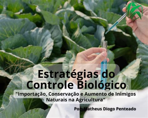 Estratégias do Controle Biológico Importação Conservação e Aumento