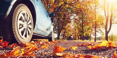 So macht ihr euer Auto fit für den Herbst Antenne Niedersachsen