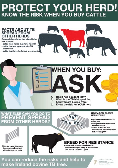 Bovine Tuberculosis In Humans