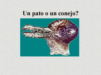 Un Pato O Un Conejo