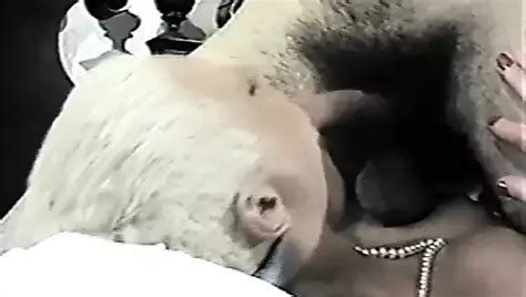 Free Bordello Porn Videos XHamster