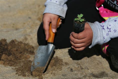 Garden Hand Trowel - Green Yard Magazine