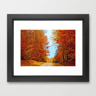 Through The Fall Framed Art Print By Pirmin Nohr Society Framed