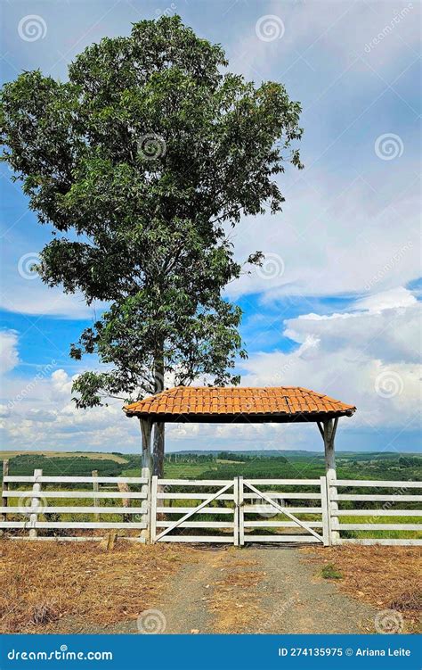 Farm Entrance with Gate and Tree Stock Image - Image of outside, farms ...