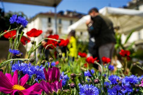 Torino Domenica In Piazza Vittorio Veneto Torna L Appuntamento Con