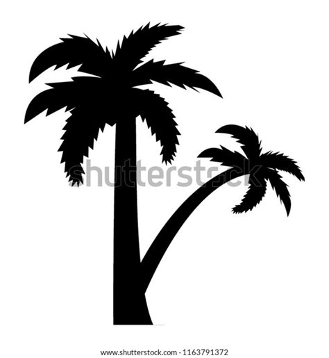 Fruit Bearing Coconut Tree Stock Vector Royalty Free 1163791372