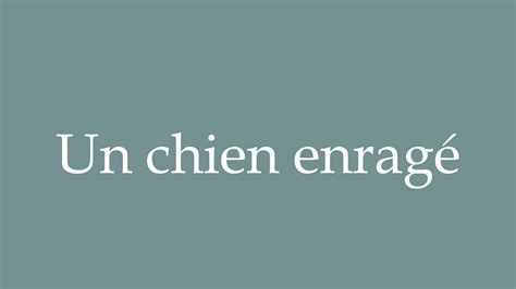 How to Pronounce Un chien enragé A mad dog Correctly in French