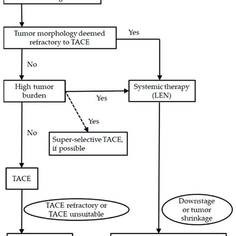 Treatment Strategy For Barcelona Clinic Liver Cancer Bclc Download Scientific Diagram