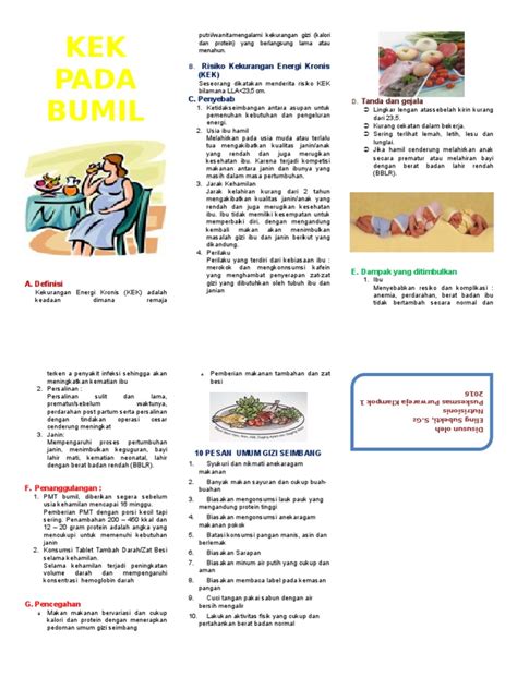 Leaflet Bumil Kek2 Pdf