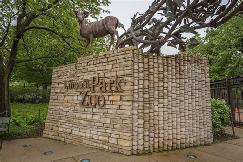 Top 8 Things to Do in Lincoln Park Zoo Chicago