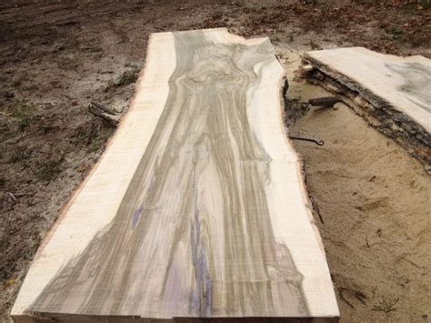 Tulip Poplar Wood Slabs Brimfield Shed