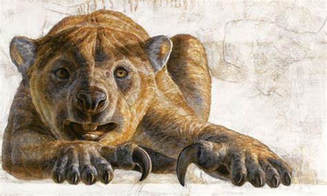 New species of extinct lion discovered in Australia