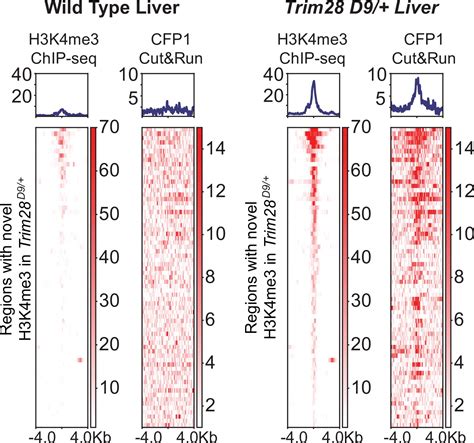 Figures and data in Sequence features of retrotransposons allow for epigenetic variability | eLife