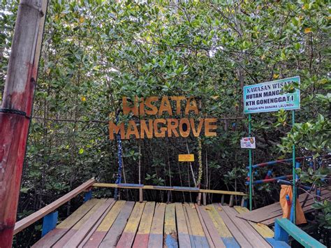 Informasi Wisata Hutan Mangrove Donggala Jam Buka Tiket Masuk