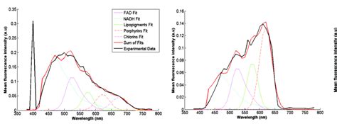 Representation Of The Mean Fluorescence Intensity Versus The