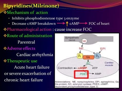 Cardiac Failure