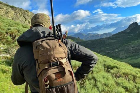 Hunting In Spain Mountain A Cantabrian Chamois